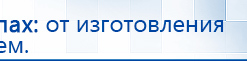 Пояс электрод купить в Киселевске, Выносные электроды купить в Киселевске, Официальный сайт Денас denaspkm.ru